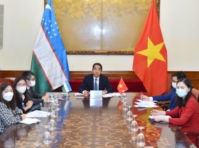 Image: Vietnam, Uzbekistan hold deputy ministerial-level political consultation
