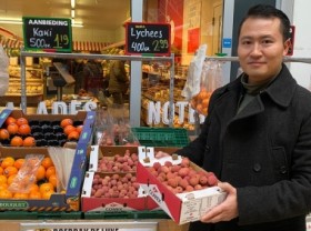 Image: VinFast cars rolling in Netherlands and lessons for agricultural exports