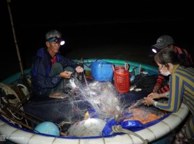 Image: Night crab nets make millions