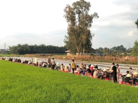 Image: Restaurant for customers to sit in the middle of rice fields in the West