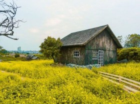 Image: The entertainment places in the Long Bien district are both beautiful and quality