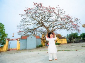 Image: The famous hundred-year-old trees in Vietnam are a “popular” virtual living scene online