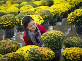 Image: The West opens many tourist spots to welcome Tet