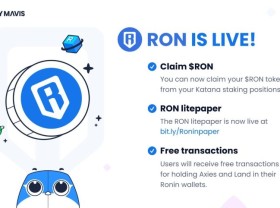 Image: Axie Infinity has officially launched the RON token