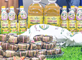 Image: More practical support needed for rural industrial enterprises