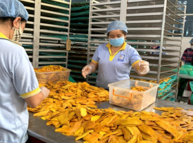 Image: Vietnam promotes untapped potential of exports to Eurasia