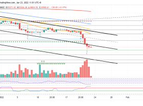 Image: Bitcoin’s potential bottom after 50% drop