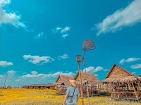Image: Go to My Phuoc Thanh tourist area to experience the countryside scene, eat “old life” delicious Western dishes