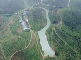 Image: Huong Son orange season
