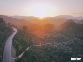 Image: Japanese apricots turn northern Vietnam into white paradise