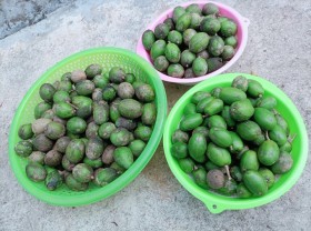 Image: Sweet and sour stomach toad jam on Tet holiday
