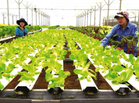Image: Vietnam’s agriculture in race to digital transformation
