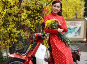 Image: Traditional and modern Tet activities in Ho Chi Minh City