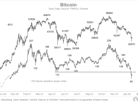 Image: What Matters for Bitcoin in 2022 as It Catches a Stock Liquidity Storm?