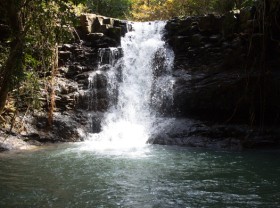Image: Vietnam’s Bu Gia Map National Park welcomes back tourists after COVID-19 closure