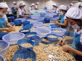 Image: Cashew sector predicted to secure good export growth in 2022