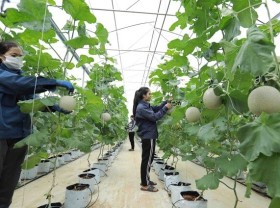 Image: Cooperatives to be supported in digital transformation