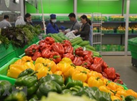 Image: Expanding market for fruit and vegetable consumption