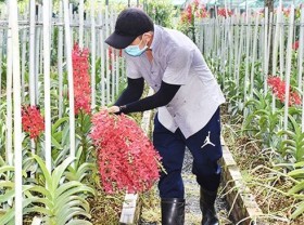 Image: Investment for farmers enhanced towards agricultural development