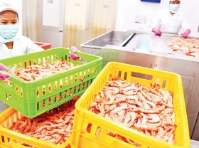 Image: Normal life is returning to Vietnam