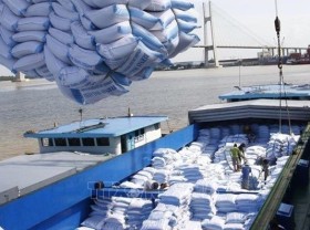 Image: Over 55,000 tonnes of Vietnamese rice exported to RoK to enjoy 5 percent tax rate