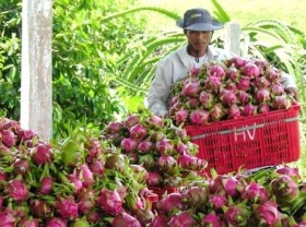 Image: Promoting the value of geographical indications