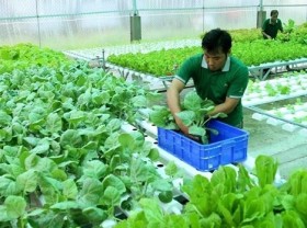 Image: Strategy issued to boost sustainable agricultural development