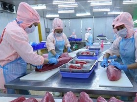 Image: Tuna exports enjoy three-digit growth in January