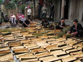 Image: Vietnam needs to build sustainable cinnamon growing areas