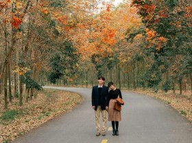 Image: Dau Tieng rubber forest in the changing season of leaves