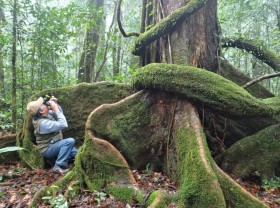 Image: Discovering the mossy forest of Hòn Giao