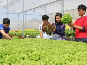 Image: Agricultural strategy - breakthroughs that lift up the economy