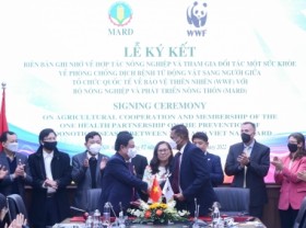 Image: Agriculture Vietnam - develop but not exchange