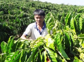 Image: Coffee exports in 2022 will grow due to the price rise