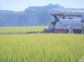 Image: More policies are needed to develop agriculture sustainably