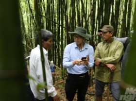 Image: Payment policy for forest environmental services