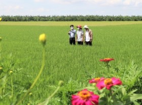 Image: Promoting Vietnam's agriculture into world's top by 2050