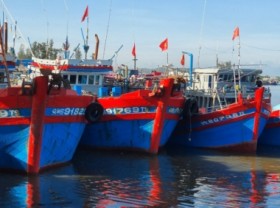 Image: Quang Ngai: Changes seen in the effort to get the IUU 'yellow card' removed