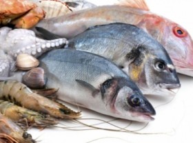 Image: Seafood imports: Increase in global demands continue