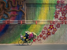 Image: Photo capturing Hà Nội street vendor wins int’l award