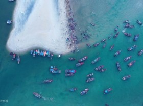 Image: Con Go fish market in Ha Tinh