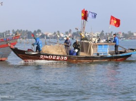 Image: Fishermen hit with herring