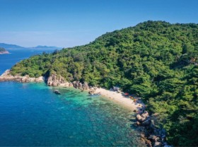 Image: Snorkeling to see coral at Hon Chao