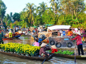 Image: Spring has sprung in southern Vietnam as it ushers in the Lunar New Year