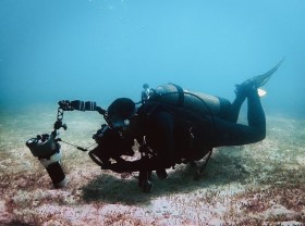 Image: The world at the bottom of Nha Trang Bay