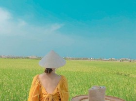 Image: Top coffee shops in the middle of the field in Hoi An, the view is not inferior to Chiang Mai