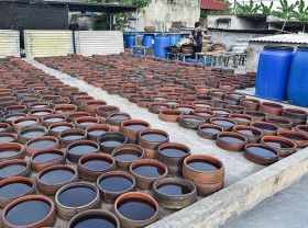 Image: Sa Chau fish sauce - specialty condiment of Nam Dinh province