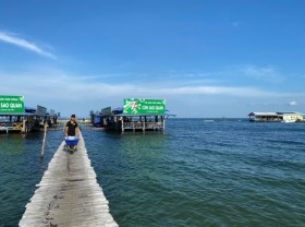 Image: Visiting the starfish kingdom in Phú Quốc