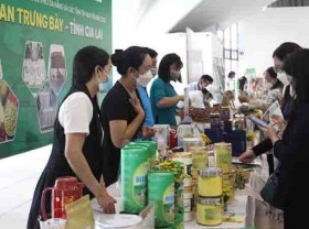 Image: Conference seeks to connect Da Nang with the Central Highlands provinces