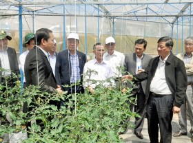 Image: Lam Dong promotes agricultural digitisation